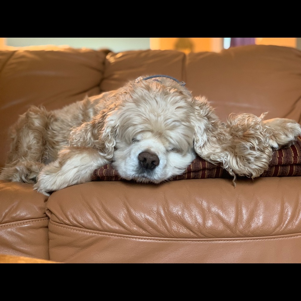 Meet your Posher, Krista